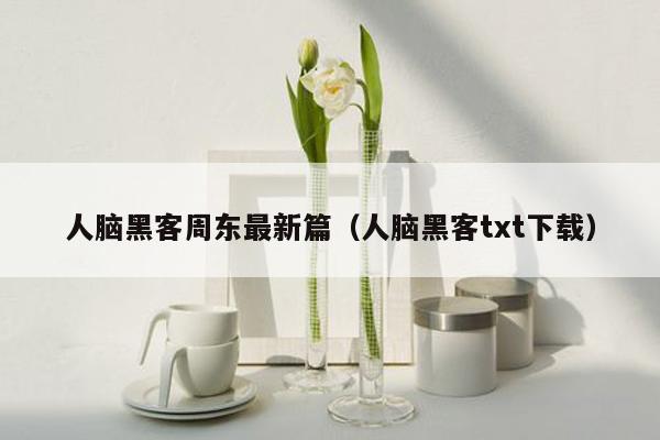 人脑黑客周东最新篇（人脑黑客txt下载）