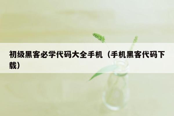 初级黑客必学代码大全手机（手机黑客代码下载）