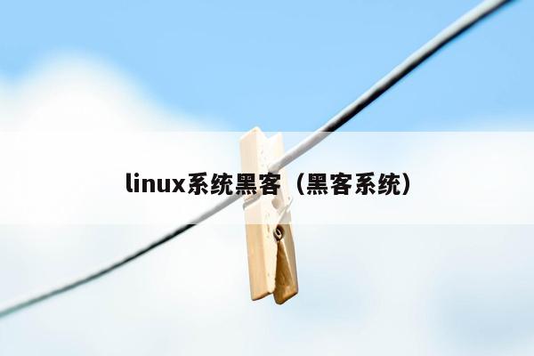 linux系统黑客（黑客系统）