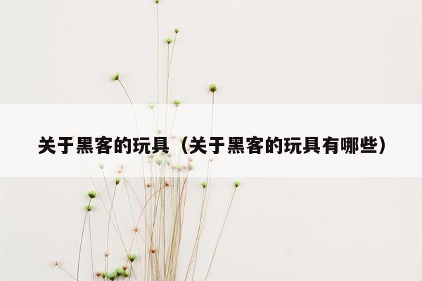 关于黑客的玩具（关于黑客的玩具有哪些）