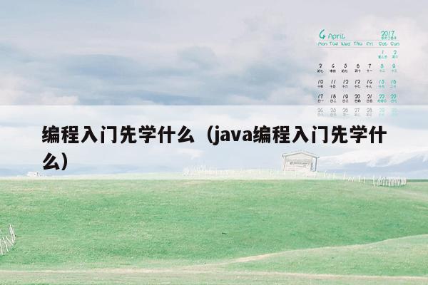 编程入门先学什么（java编程入门先学什么）