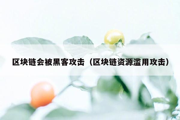 区块链会被黑客攻击（区块链资源滥用攻击）