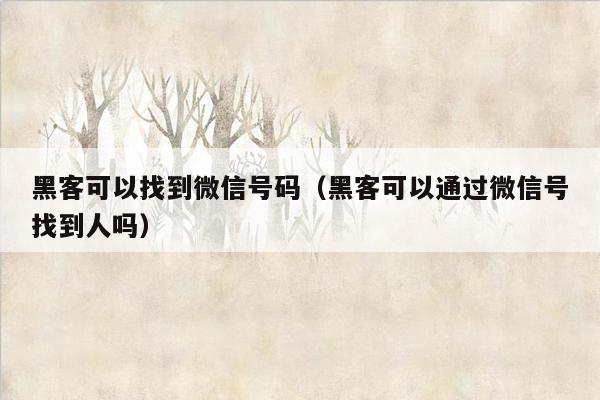 黑客可以找到微信号码（黑客可以通过微信号找到人吗）