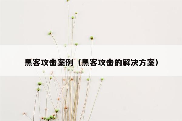 黑客攻击案例（黑客攻击的解决方案）