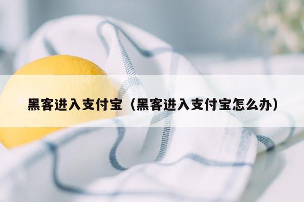 黑客进入支付宝（黑客进入支付宝怎么办）