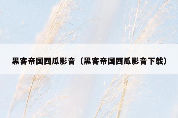 黑客帝国西瓜影音（黑客帝国西瓜影音下载）