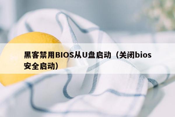 黑客禁用BIOS从U盘启动（关闭bios安全启动）