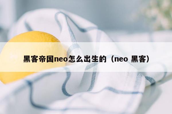 黑客帝国neo怎么出生的（neo 黑客）