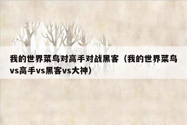 我的世界菜鸟对高手对战黑客（我的世界菜鸟vs高手vs黑客vs大神）
