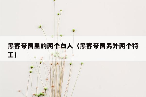 黑客帝国里的两个白人（黑客帝国另外两个特工）