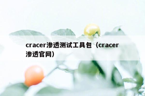 cracer渗透测试工具包（cracer渗透官网）