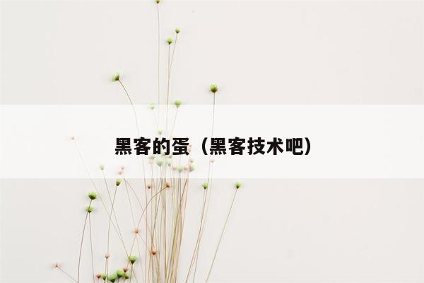 黑客的蛋（黑客技术吧）