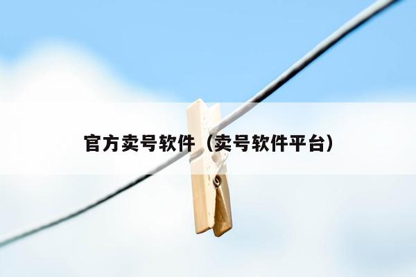 官方卖号软件（卖号软件平台）