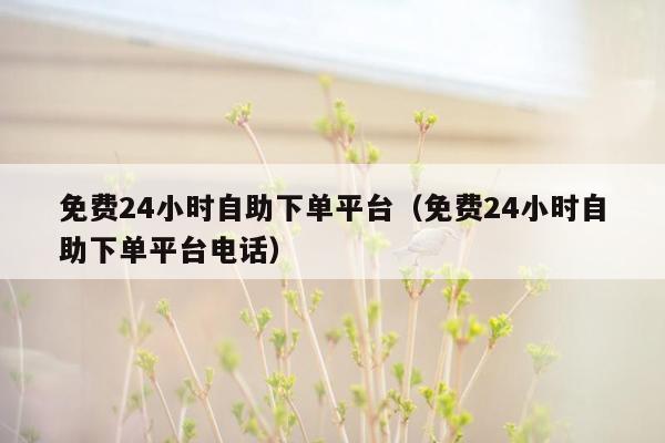 免费24小时自助下单平台（免费24小时自助下单平台电话）