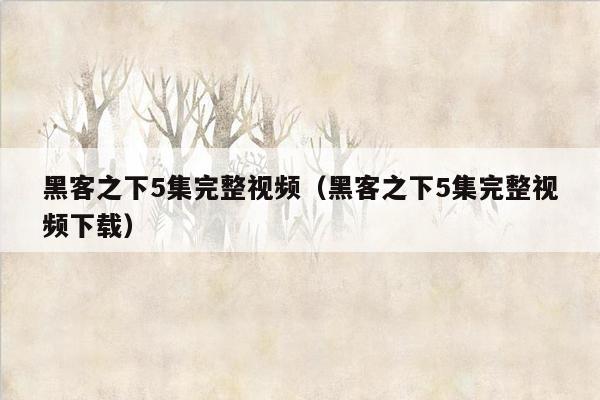 黑客之下5集完整视频（黑客之下5集完整视频下载）