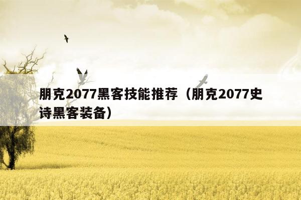 朋克2077黑客技能推荐（朋克2077史诗黑客装备）