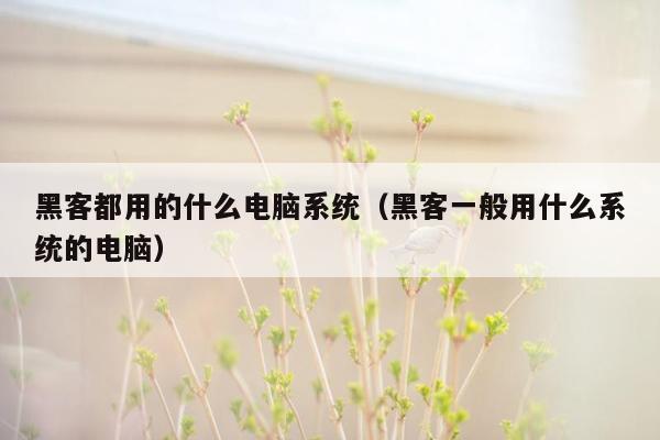 黑客都用的什么电脑系统（黑客一般用什么系统的电脑）