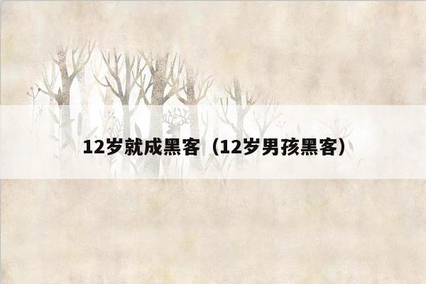 12岁就成黑客（12岁男孩黑客）