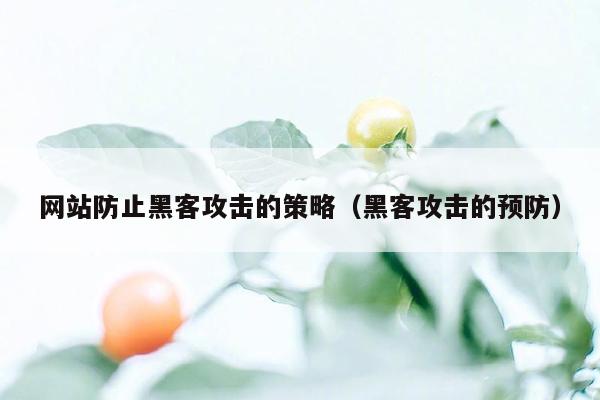 网站防止黑客攻击的策略（黑客攻击的预防）