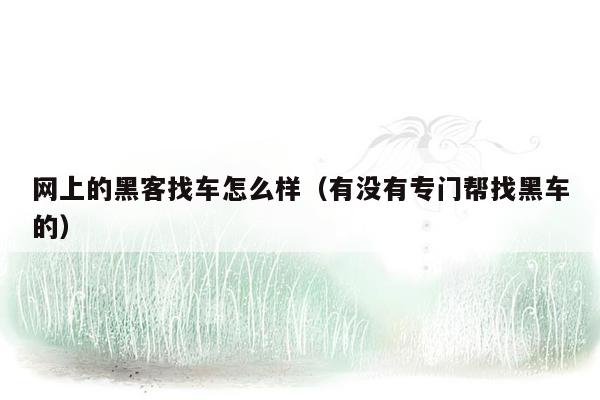 网上的黑客找车怎么样（有没有专门帮找黑车的）