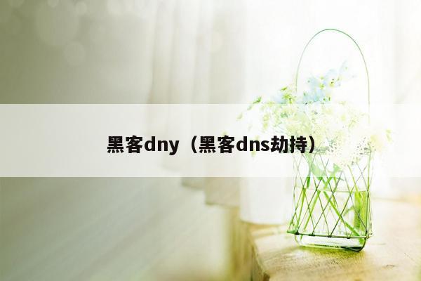 黑客dny（黑客dns劫持）