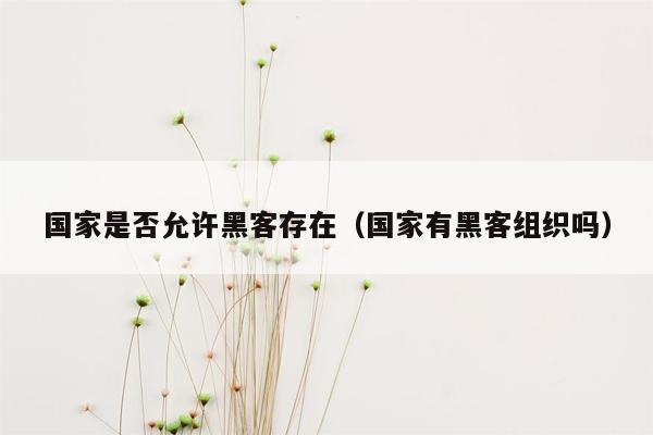 国家是否允许黑客存在（国家有黑客组织吗）