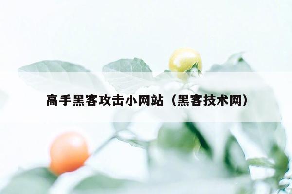 高手黑客攻击小网站（黑客技术网）