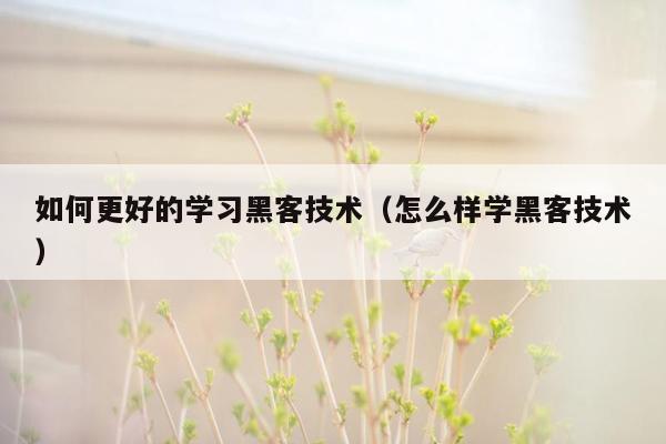 如何更好的学习黑客技术（怎么样学黑客技术）