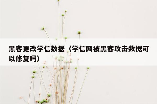 黑客更改学信数据（学信网被黑客攻击数据可以修复吗）