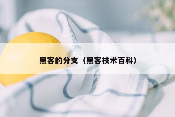 黑客的分支（黑客技术百科）