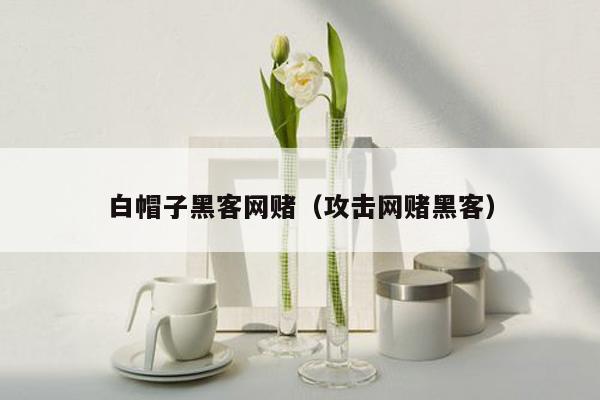 白帽子黑客网赌（攻击网赌黑客）