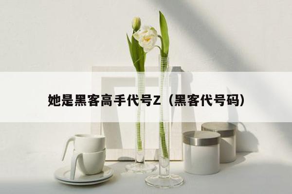 她是黑客高手代号Z（黑客代号码）