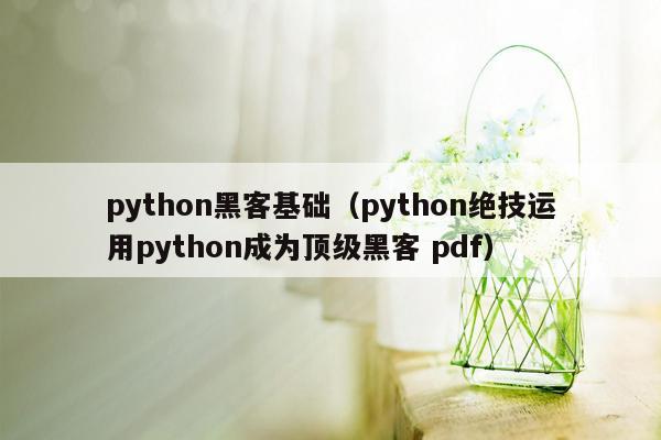 python黑客基础（python绝技运用python成为顶级黑客 pdf）