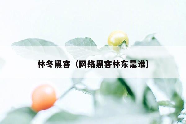 林冬黑客（网络黑客林东是谁）