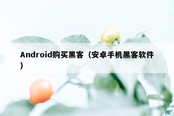 Android购买黑客（安卓手机黑客软件）