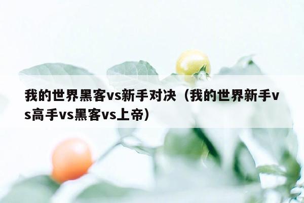 我的世界黑客vs新手对决（我的世界新手vs高手vs黑客vs上帝）