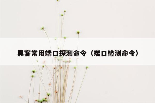 黑客常用端口探测命令（端口检测命令）