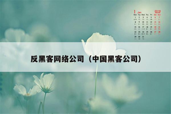 反黑客网络公司（中国黑客公司）