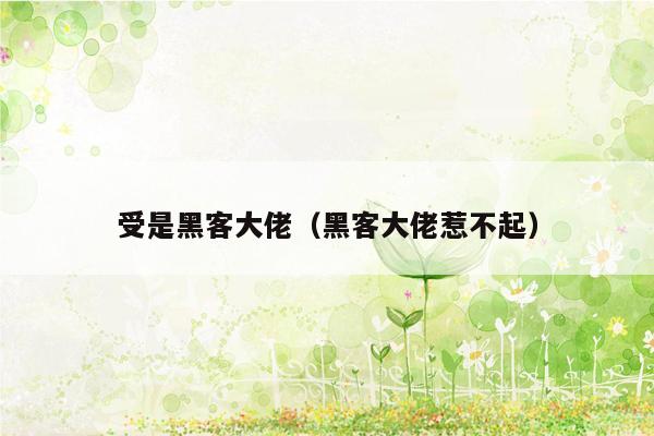 受是黑客大佬（黑客大佬惹不起）