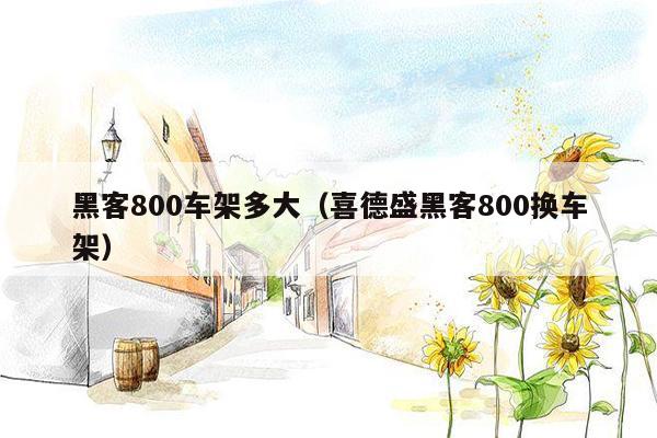 黑客800车架多大（喜德盛黑客800换车架）