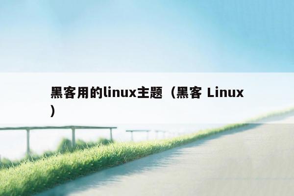 黑客用的linux主题（黑客 Linux）