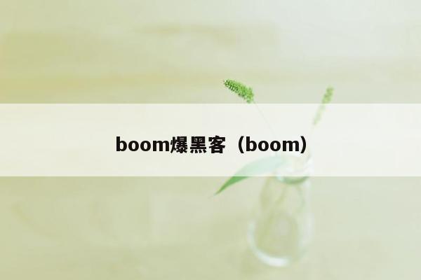 boom爆黑客（boom）