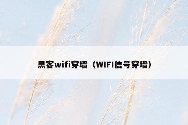 黑客wifi穿墙（WIFI信号穿墙）