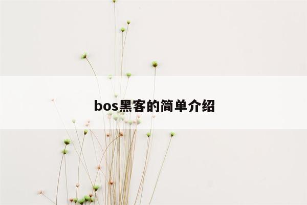 bos黑客的简单介绍