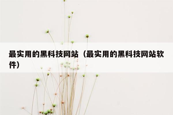 最实用的黑科技网站（最实用的黑科技网站软件）