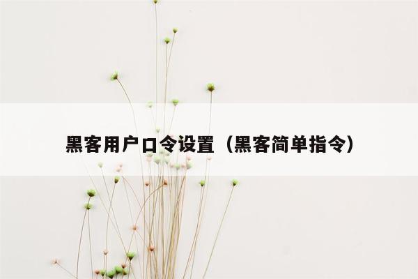 黑客用户口令设置（黑客简单指令）