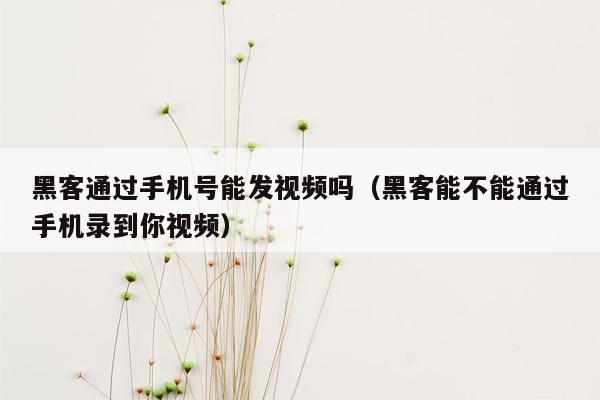 黑客通过手机号能发视频吗（黑客能不能通过手机录到你视频）