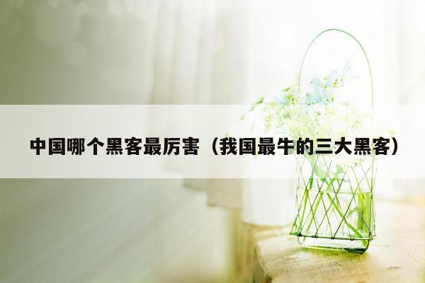 中国哪个黑客最厉害（我国最牛的三大黑客）