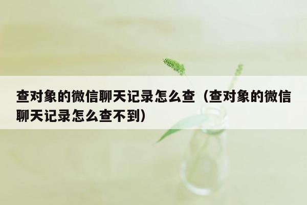 查对象的微信聊天记录怎么查（查对象的微信聊天记录怎么查不到）