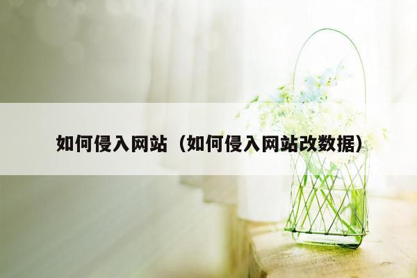 如何侵入网站（如何侵入网站改数据）